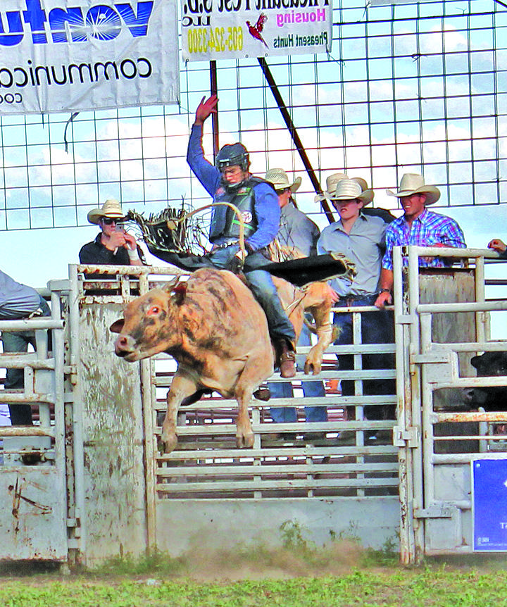 Rodeo High Bull_FCR的图像